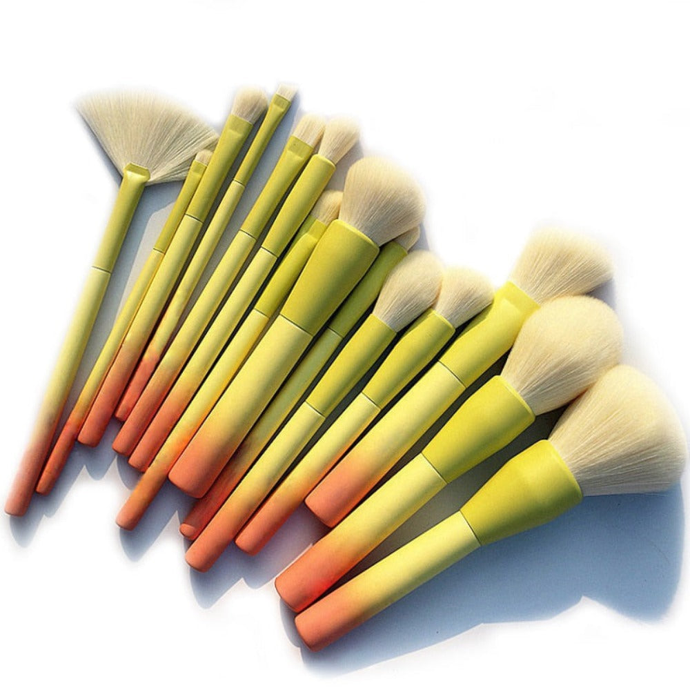 Gradient Color Pro 14pcs Makeup Brushes Set Cosmetic Powder Foundation Eyeshadow Eyeliner Brush Kits Make Up Brush Tool