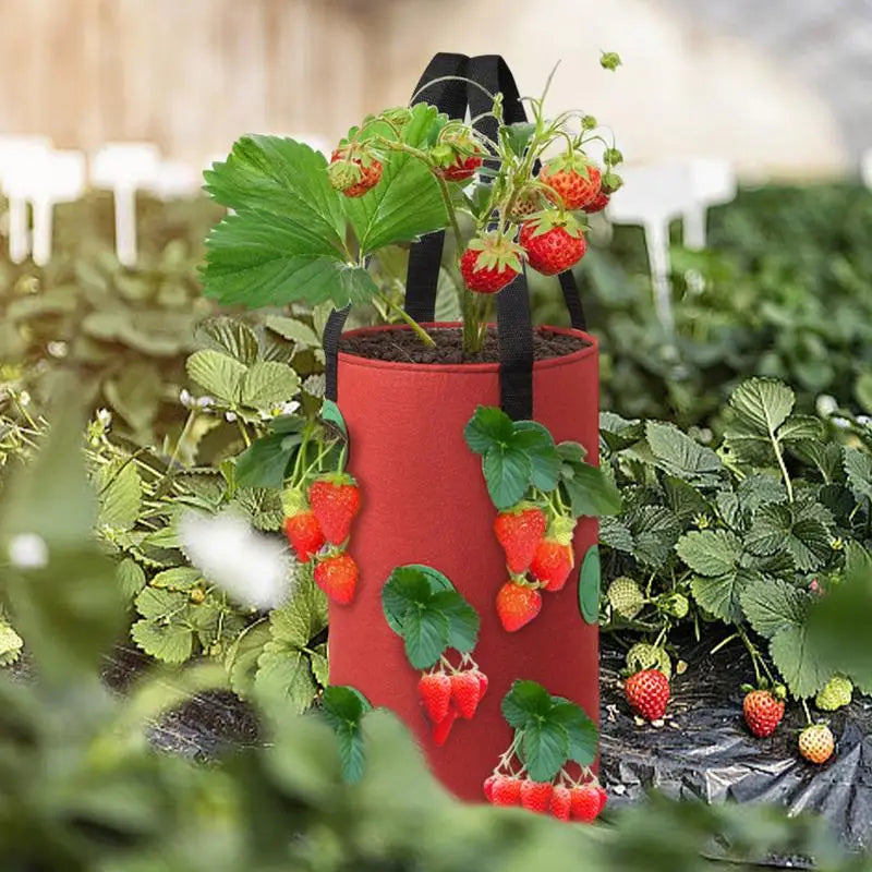 Strawberry Grow Bag Hanging Plant Bag 12 Multi Port Impermeable Strawberry Vanilla Tree Planting Bag Gardening Seedlings Growing