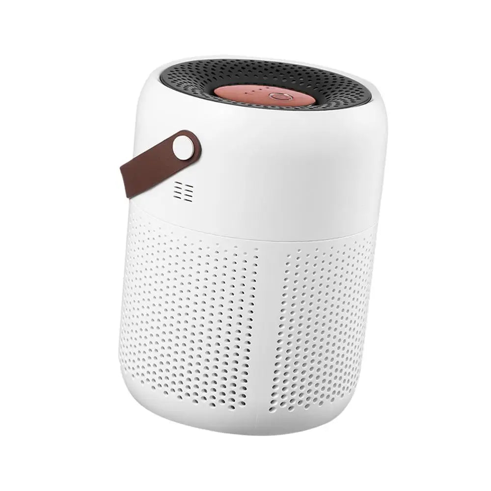 Air Purifier with True HEPA Filters Adjustable Modes Protable for Living Room Office Bathroom Desktop Household