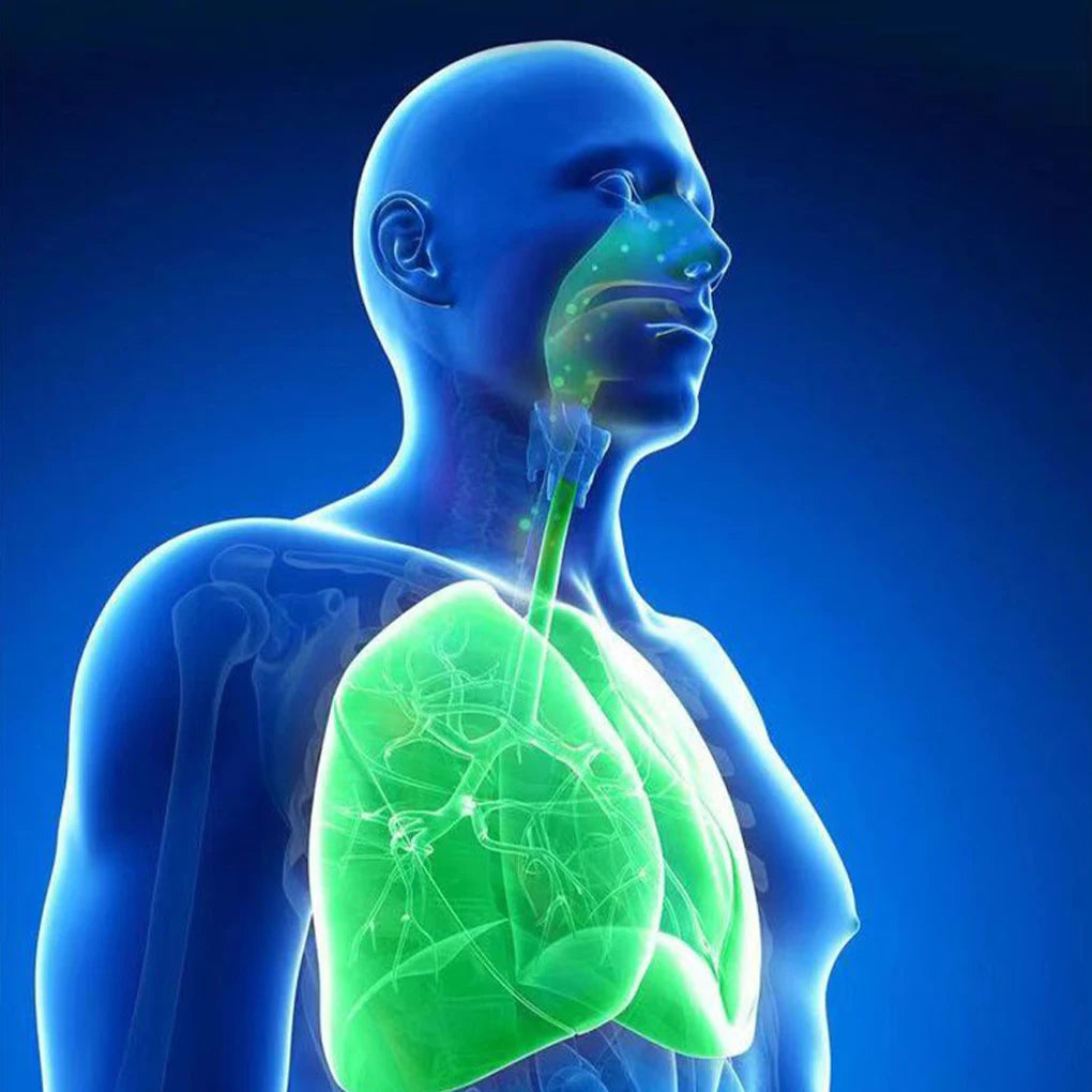 Air Freshener Neck Hanging Wearable Freshener Portable Negative Ion Air Freshening Necklace White