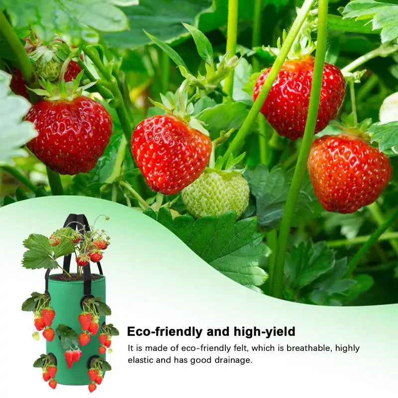 Strawberry Grow Bag Hanging Plant Bag 12 Multi Port Impermeable Strawberry Vanilla Tree Planting Bag Gardening Seedlings Growing