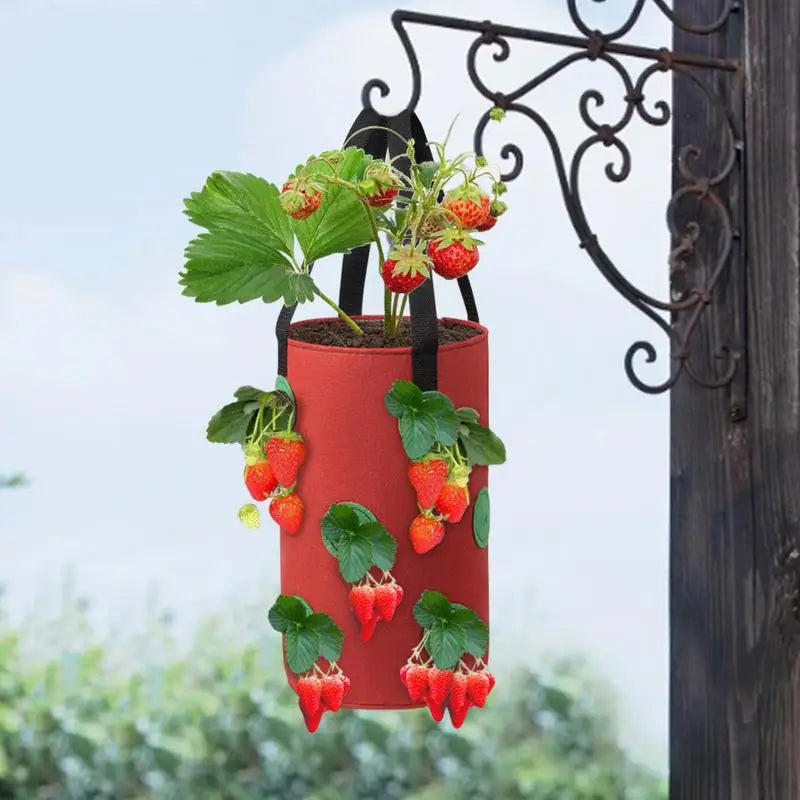 Strawberry Grow Bag Hanging Plant Bag 12 Multi Port Impermeable Strawberry Vanilla Tree Planting Bag Gardening Seedlings Growing