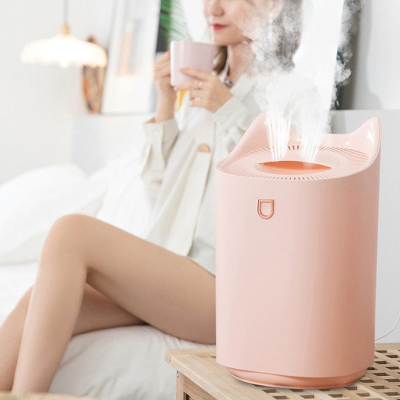 Humidifier Home 3L Air Ultrasonic Essential Oil Aroma Diffuser Double Nozzle Coloful Night Light Mist Maker Diffuse