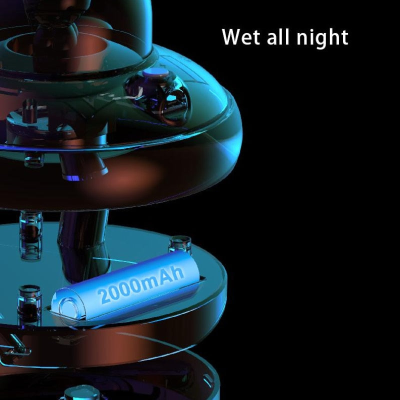 Humidifier Double Spray Cute Pet USB Humidifier Air Atomization Water Replenishing Instrument Desktop Mini Colorful